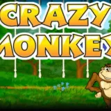 Crazy Monkey slot
