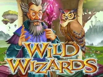 wild wizards