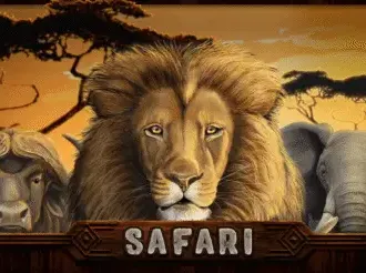 Safari slot