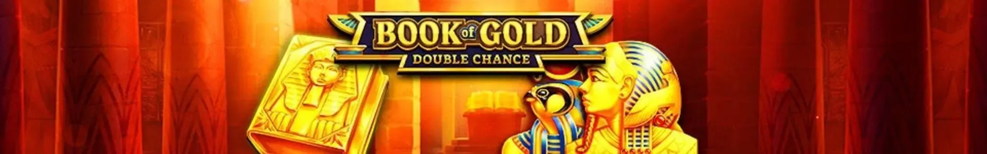 Book of Gold: Double Chance slot