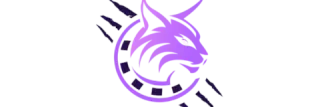 SpinLynx Casino