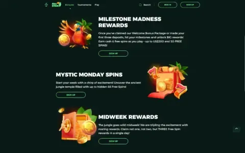 All Star Casino Promotions