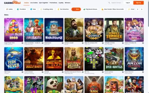 Casinovibes Casino Slots