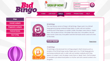 bid bingo online bingo games