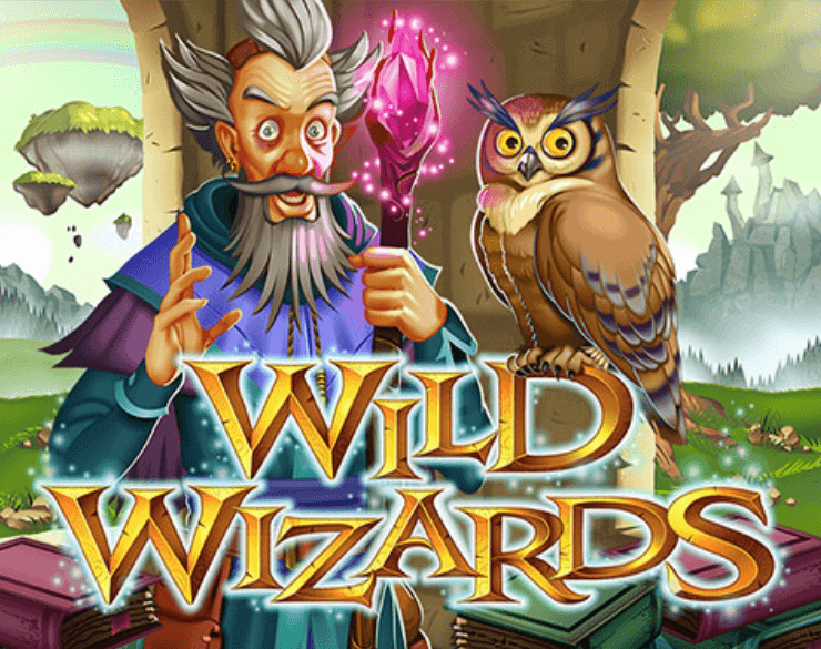 wild wizards