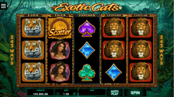 Exotic Cats slot free spins