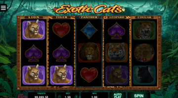 Exotic Cats slot game