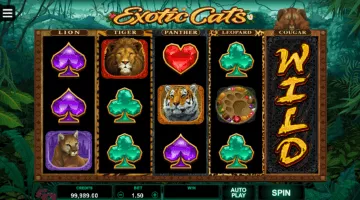play Exotic Cats slot