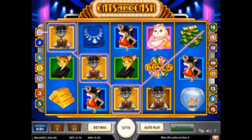 Cats and Cash slot free spins