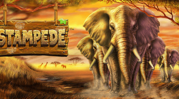 Stampede slot