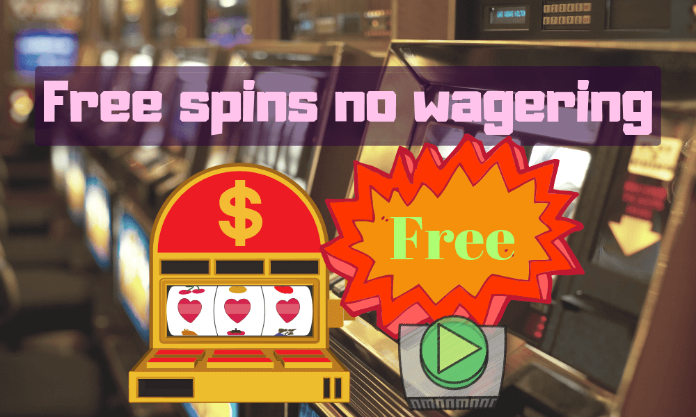 No Wagering Free Spins