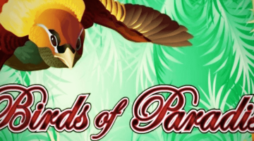 Birds of Paradise slot
