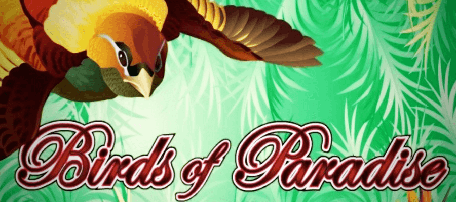 Birds of Paradise slot