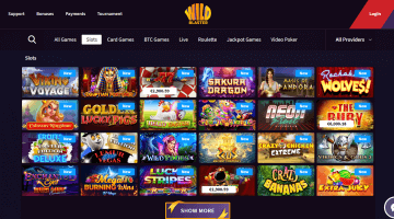 Wildblaster Casino Slot Games