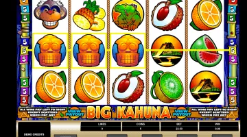 Big Kahuna Slot Game Free Spins