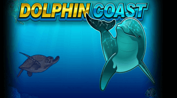 Dolphin Coast slot