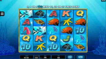Dolphin Coast Slot Game Free Spins