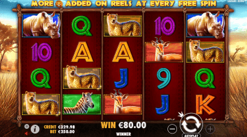 Safari King Slot Game Free Spins
