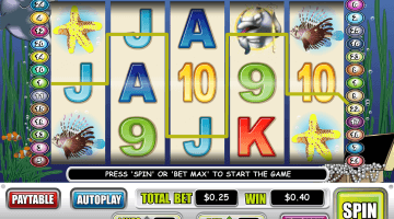 Dolphin King Slot Game Free Spins
