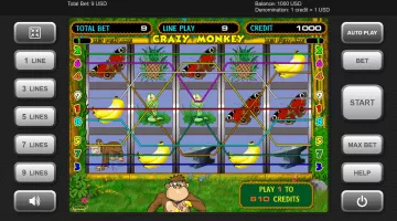Play Crazy Monkey Slot