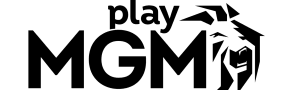 Play MGM Casino instal