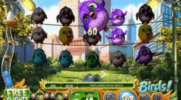 Birds! Slot Game Free Spins