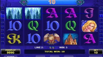Book Of Fortune Slot Game