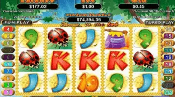 Honey To The Bee Slot Game Free Spins