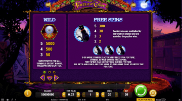 Play Fortune Teller Slot