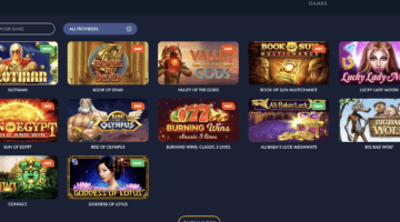 Slotman Casino Slot Games