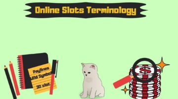 Online Slots Terminology Slot Terms Explained